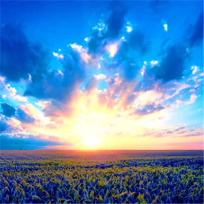 云开平台app官方最新版本