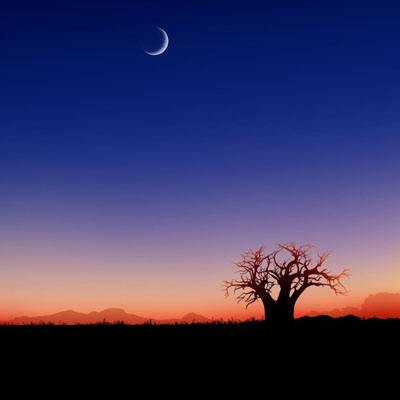 麻将胡了2游戏入口