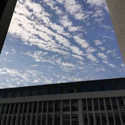 开开棋牌app下载